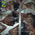 Giant Squid Wing 10kg Sacs Perivan Origin Pota Squid